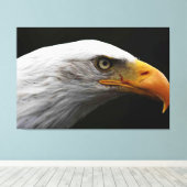 Bald Eagle 60x40 (150x100cm)ワッカン キャンバスプリント (インサイチュ (ウッドフロア))