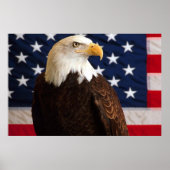 Bald Eagle 7月4日ポスター14 ポスター (正面)