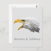 Bald Eagle Alertness & Solidnessカスタマイズ ポストカード (正面/裏面)