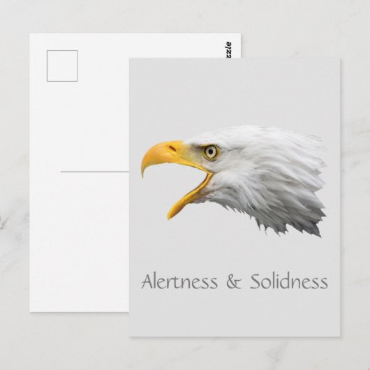 Bald Eagle Alertness & Solidnessカスタマイズ ポストカード (正面/裏面)