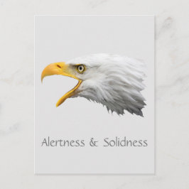 Bald Eagle Alertness & Solidnessカスタマイズ ポストカード
