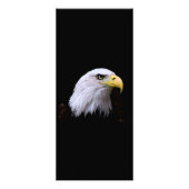 Bald Eagle - American Eagleラックカード ラックカード (正面)