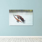 Bald Eagle and Goose Nature Wildlife Fine Art キャンバスプリント (インサイチュ (ウッドフロア))