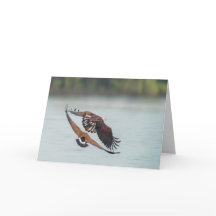 Bald Eagle and Goose Wildlife Blank