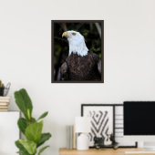 Bald Eagle Artプリント-20x24またはそれ以下 ポスター (ホームオフィス)