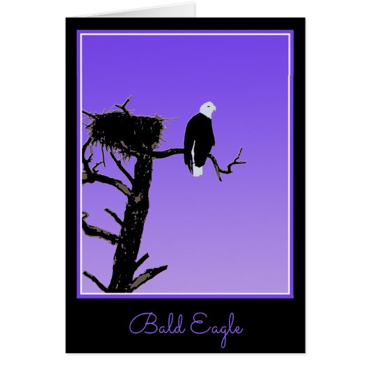 Bald Eagle at Sunset -オリジナルワイルドライフアート (正面)