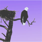 Bald Eagle at Sunset -オリジナルワイルドライフアート シール (正面)