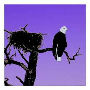 Bald Eagle at Sunset -オリジナルワイルドライフアート ポスター