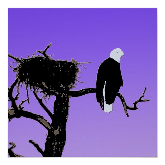 Bald Eagle at Sunset -オリジナルワイルドライフアート ポスター (正面)