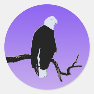 Bald Eagle at Sunset -オリジナルワイルドライフアート ラウンドシール