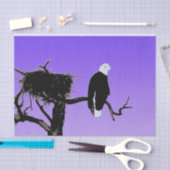 Bald Eagle at Sunset -オリジナルワイルドライフアート 薄葉紙 (クラフト)