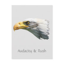 Bald Eagle Audacity & Rushカスタマイズ可能