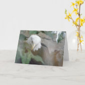 Bald Eagle Bird Thank, Note カード (黄色い花)