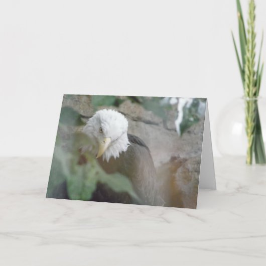 Bald Eagle Bird Thank, Note カード (正面)