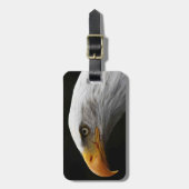 Bald Eagle cd ltcna ラゲッジタグ (正面縦)