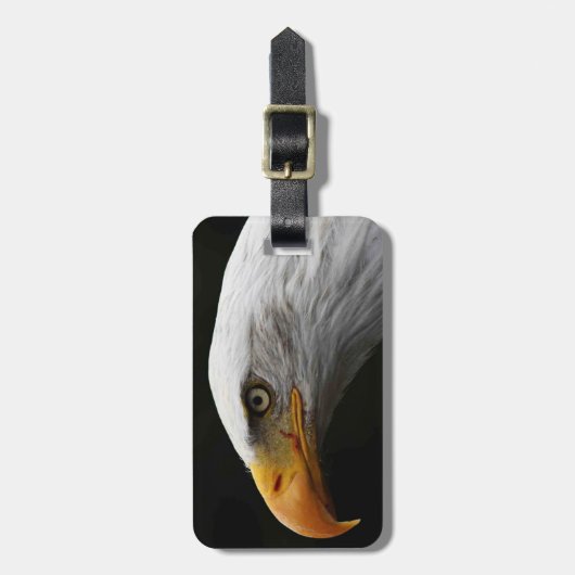 Bald Eagle cd ltcna ラゲッジタグ (正面縦)