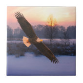BALD EAGLE CERAMIC TILE タイル (正面)