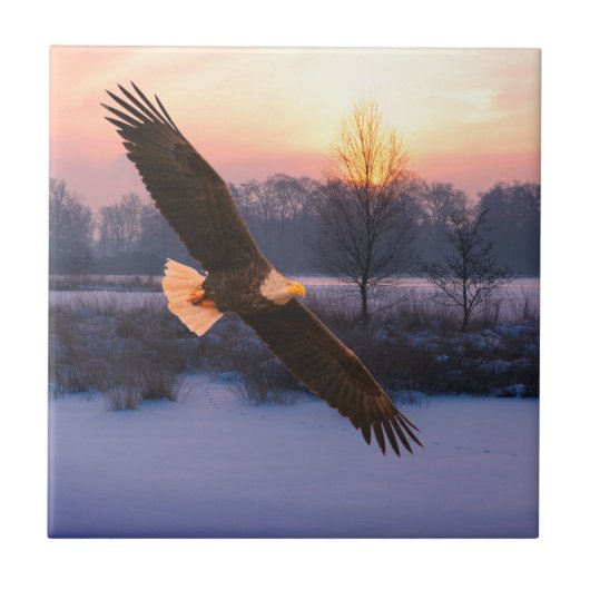 BALD EAGLE CERAMIC TILE タイル (正面)
