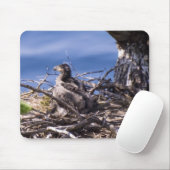 Bald Eagle Chick – マウスパッド (マウス)