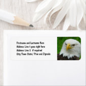 Bald Eagle - Close up Wild Eagle Photo ラベル (インサイチュ)