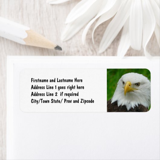 Bald Eagle - Close up Wild Eagle Photo ラベル (インサイチュ)