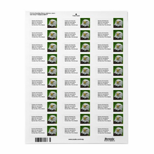 Bald Eagle - Close up Wild Eagle Photo ラベル (フルシート)