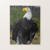 Bald Eagle Colorado。 ジグソーパズル (縦)