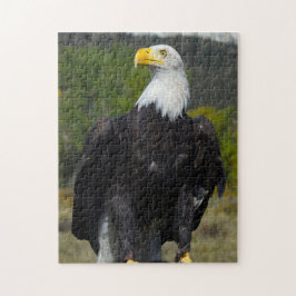 Bald Eagle Colorado。 ジグソーパズル