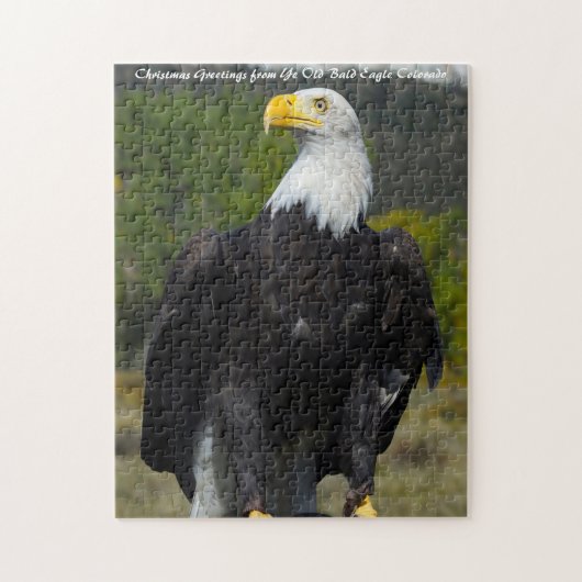 Bald Eagle Colorado.Christmas Greetings ジグソーパズル (縦)