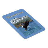Bald Eagle Diving – 西イエローストーンMT マグネット (右側)