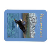 Bald Eagle Diving – 西イエローストーンMT マグネット (横)