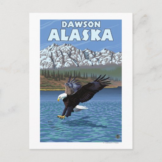 Bald Eagle Diving - Dawson, Alaska ポストカード (正面)