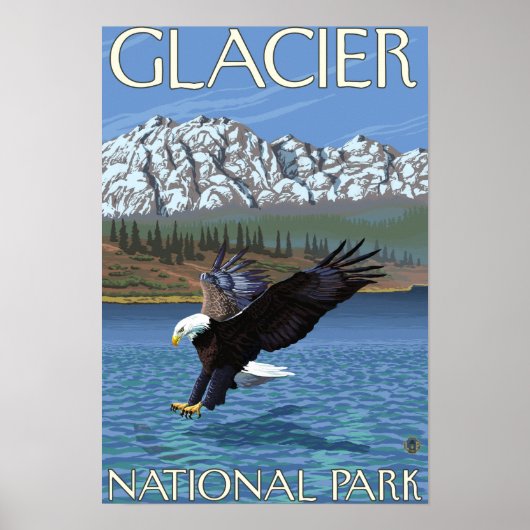 Bald Eagle Diving - Glacier National Park, MT ポスター (正面)