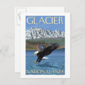 Bald Eagle Diving - Glacier National Park, MT ポストカード (正面/裏面)