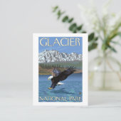Bald Eagle Diving - Glacier National Park, MT ポストカード (スタンド正面)