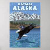 Bald Eagle Diving - Katmai，アラスカ ポスター (正面)