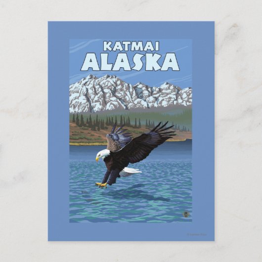 Bald Eagle Diving - Katmai,アラスカ ポストカード (正面)