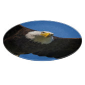 Bald Eagle Flyby Up Close カッティングボード (角)