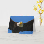 Bald Eagle Flyby Up Close カード (黄色い花)
