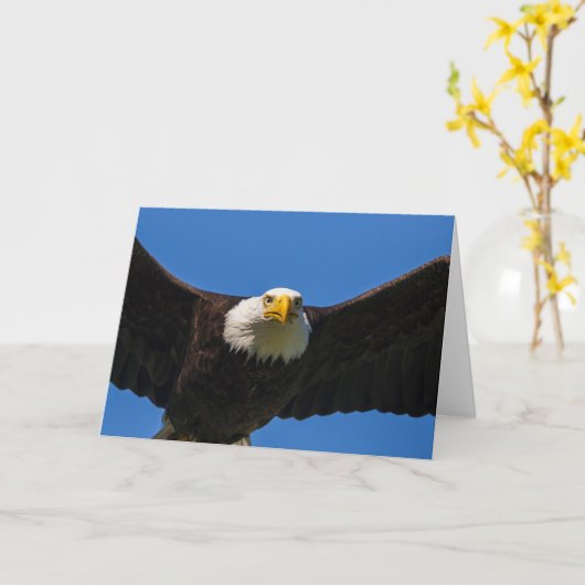 Bald Eagle Flyby Up Close カード (黄色い花)