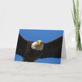 Bald Eagle Flyby Up Close カード (正面)