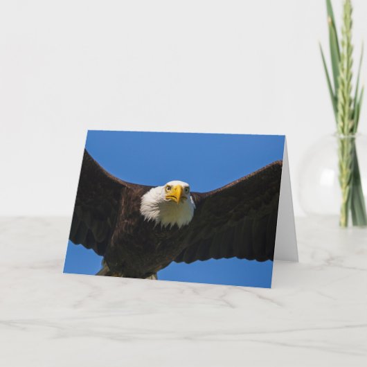Bald Eagle Flyby Up Close カード (正面)
