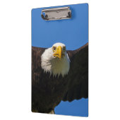 Bald Eagle Flyby Up Close クリップボード (左)