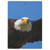 Bald Eagle Flyby Up Close クリップボード (裏面)