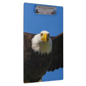Bald Eagle Flyby Up Close クリップボード (右)