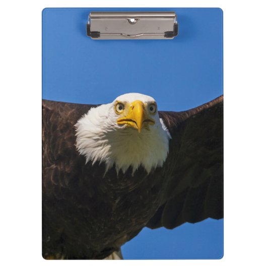 Bald Eagle Flyby Up Close クリップボード (正面)