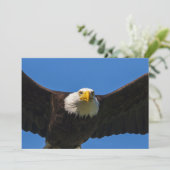 Bald Eagle Flyby Up Close サンキューカード (スタンド正面)