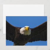 Bald Eagle Flyby Up Close サンキューカード (正面/裏面)