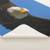 Bald Eagle Flyby Up Close シェルパブランケット (3/4)