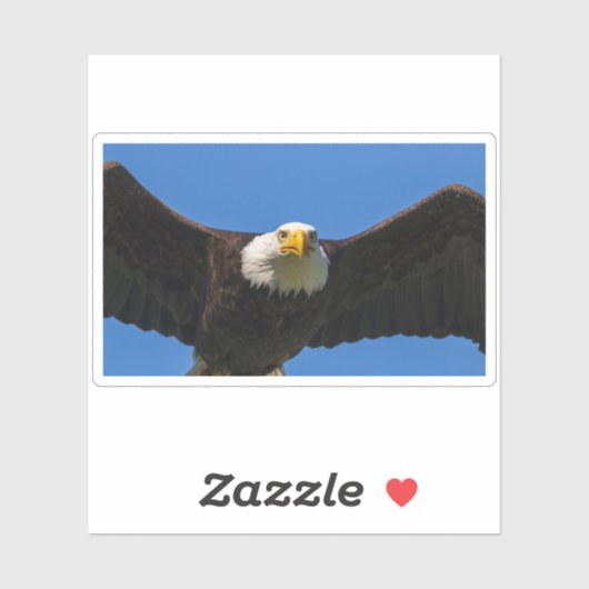 Bald Eagle Flyby Up Close シール (シート)